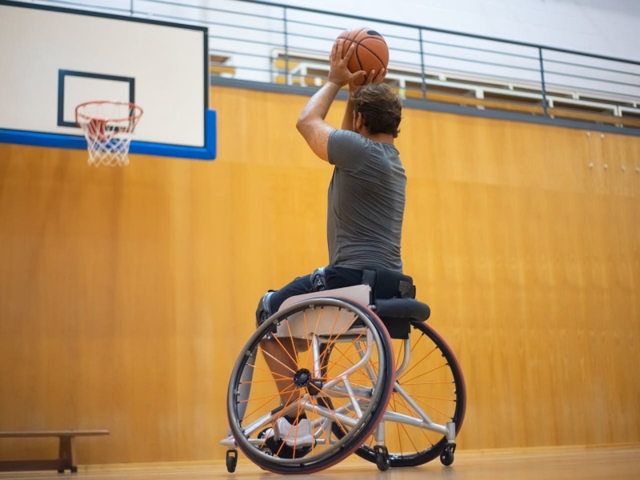 Adapted physical activity palack university olomouc