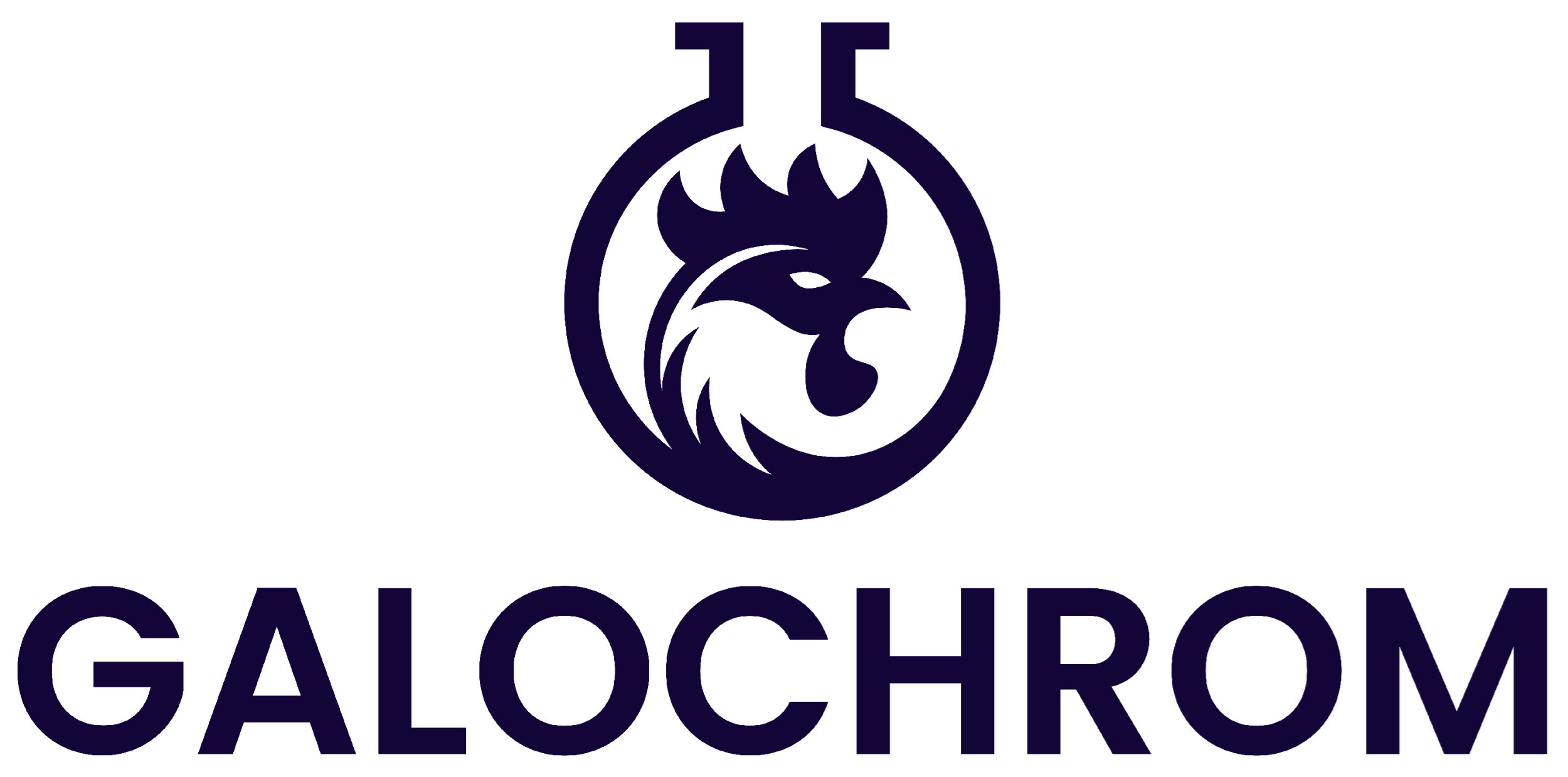 Logo GALOCHROM
